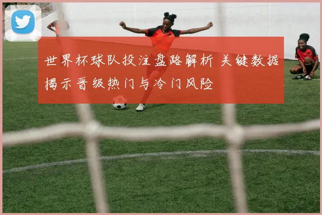 世界杯球队投注盘路解析 关键数据揭示晋级热门与冷门风险