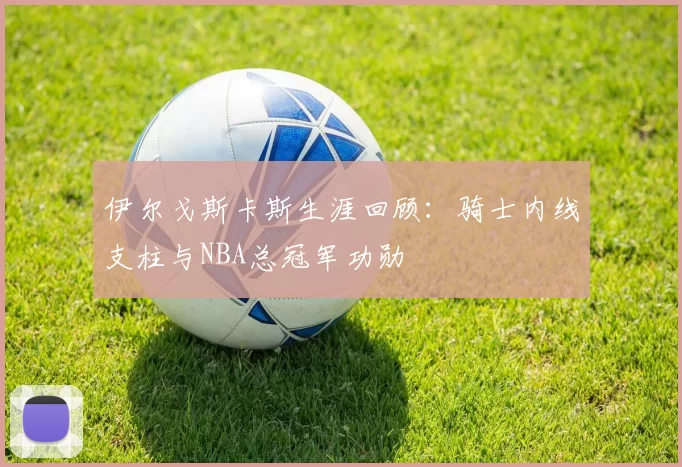 伊尔戈斯卡斯生涯回顾：骑士内线支柱与NBA总冠军功勋